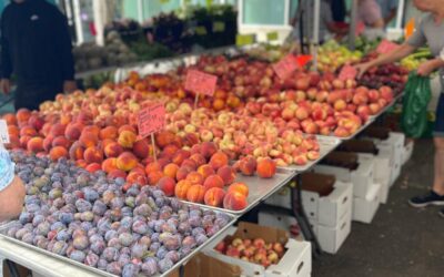 5 Local Farmer Markets You Don’t Want To Miss